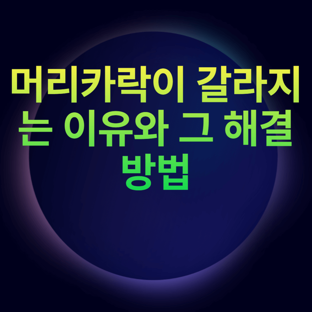 머리카락이 갈라지는 이유와 그 해결 방법