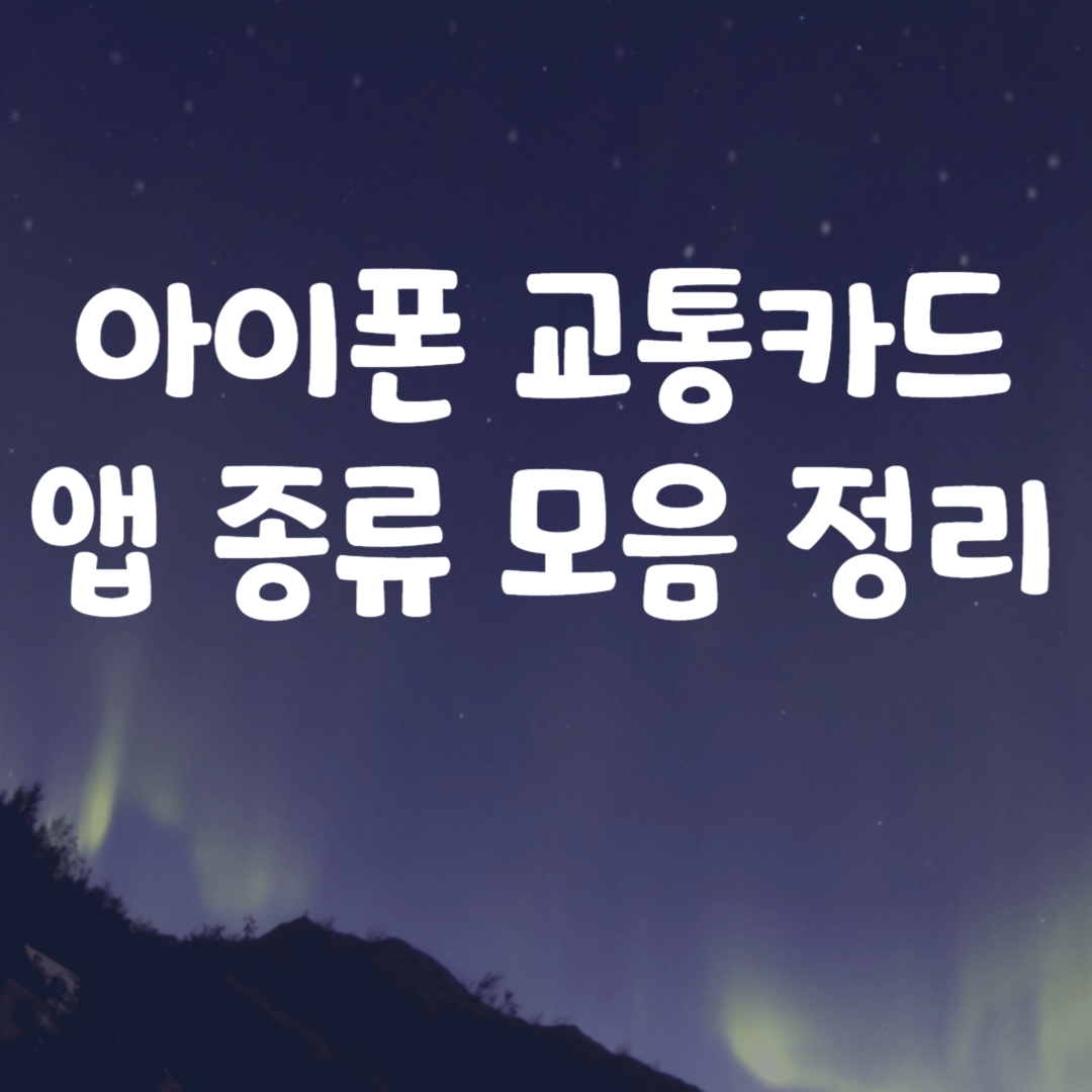 아이폰 교통카드 앱 종류 모음 정리