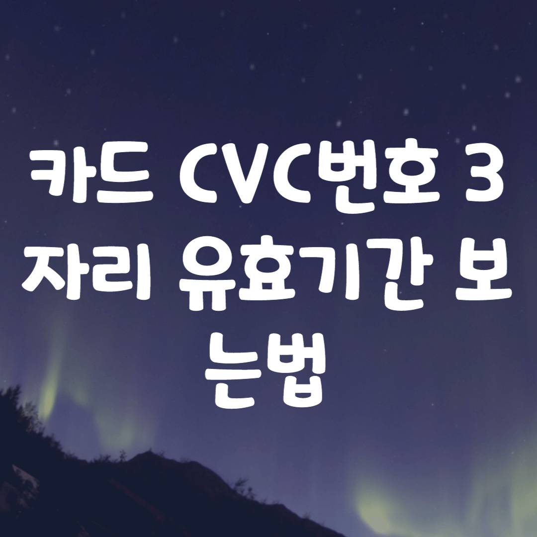 카드 CVC번호 3자리 유효기간 보는법