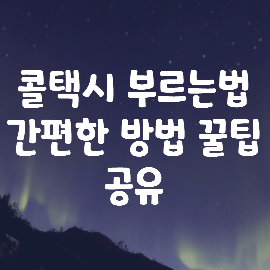 콜택시 부르는법 간편한 방법 꿀팁 공유