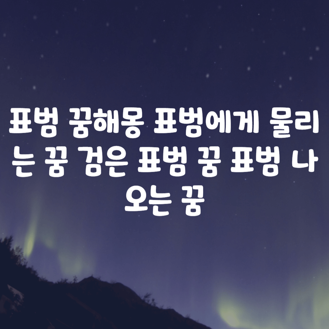 표범 꿈해몽 표범에게 물리는 꿈 검은 표범 꿈 표범 나오는 꿈