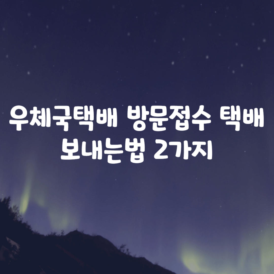 우체국택배 방문접수 택배 보내는법 2가지
