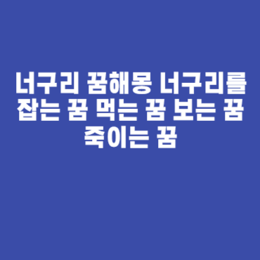 너구리 꿈해몽 너구리를 잡는 꿈 먹는 꿈 보는 꿈 죽이는 꿈