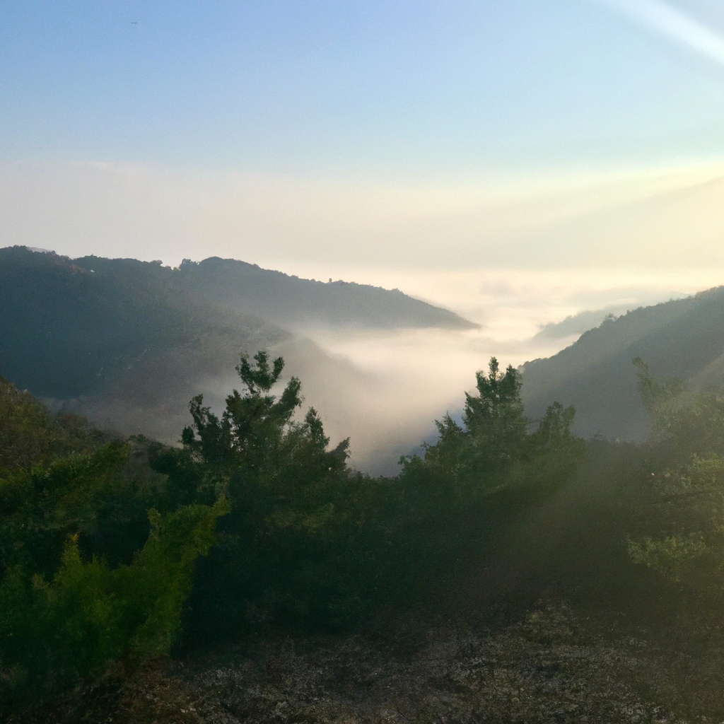 다산 뮤즈의원, 피부와 라인을 함께 관리하는 뷰티 메디컬