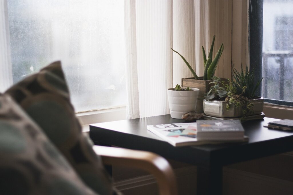 calculator and coins on a cozy table with natural light
