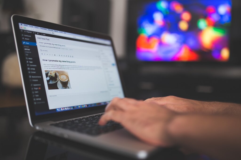 person using laptop to check welfare eligibility on government website