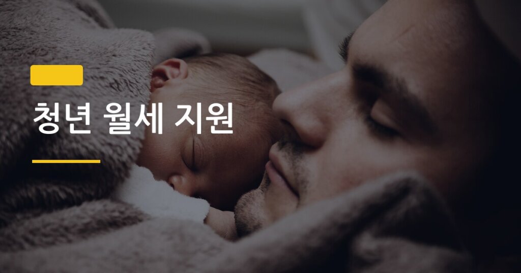 청년 월세 지원, 신청 안 하면 연 240만 원 그냥 날리는 거 알아?