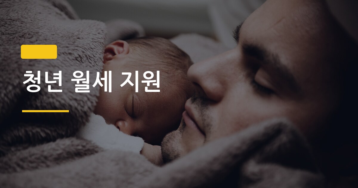 청년 월세 지원, 신청 안 하면 연 240만 원 그냥 날리는 거 알아?