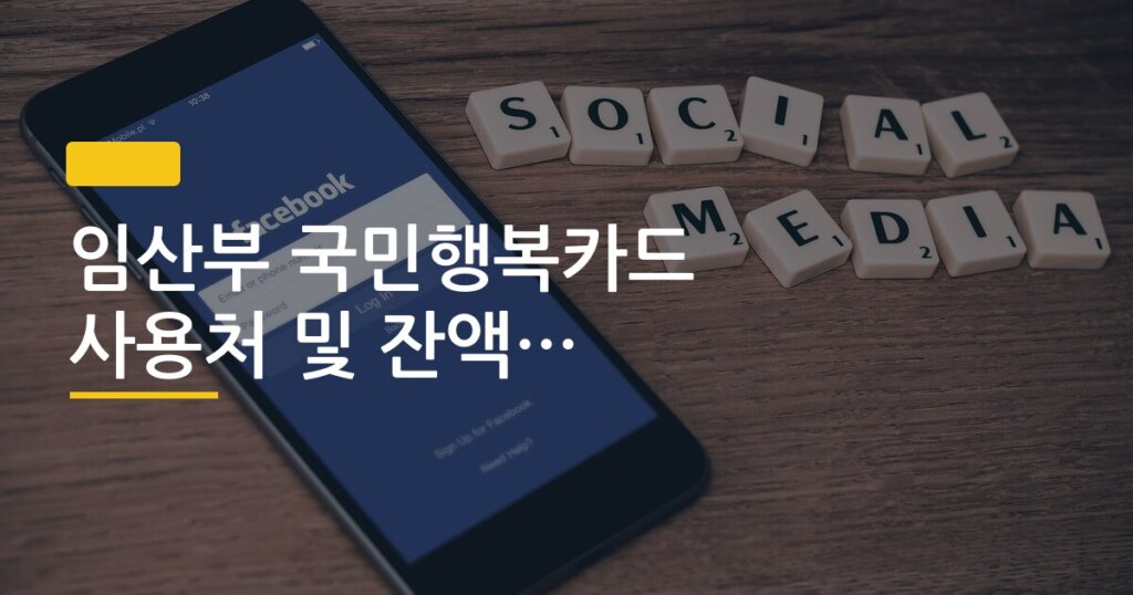 임산부 국민행복카드 사용처 및 잔액 조회 방법