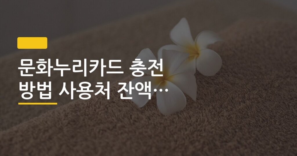 문화누리카드 충전 방법 사용처 잔액 조회 한 번에