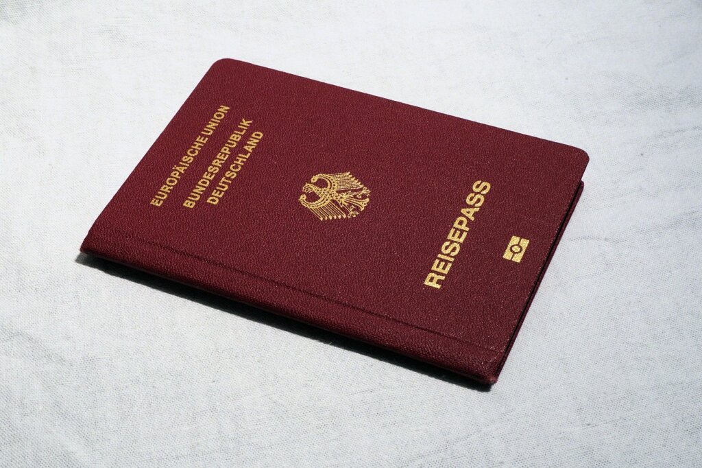 identity card and welfare documents laid flat on white surface