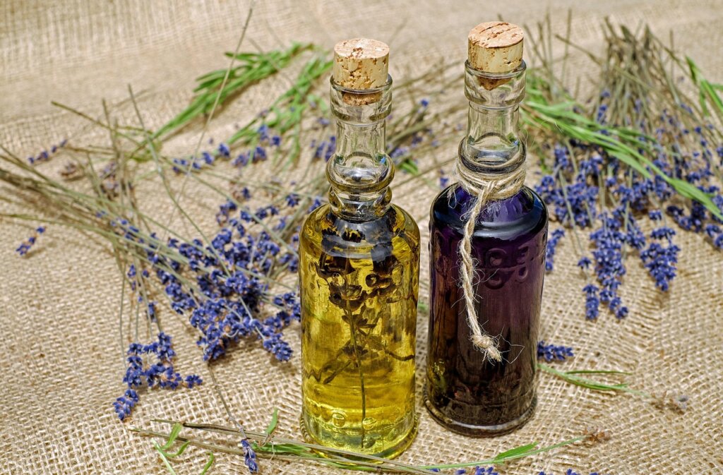 lemon eucalyptus oil and lavender on white background