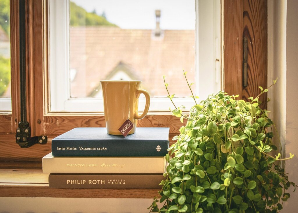 dehumidifier packets placed on window sill next to bubble wrap window in winter