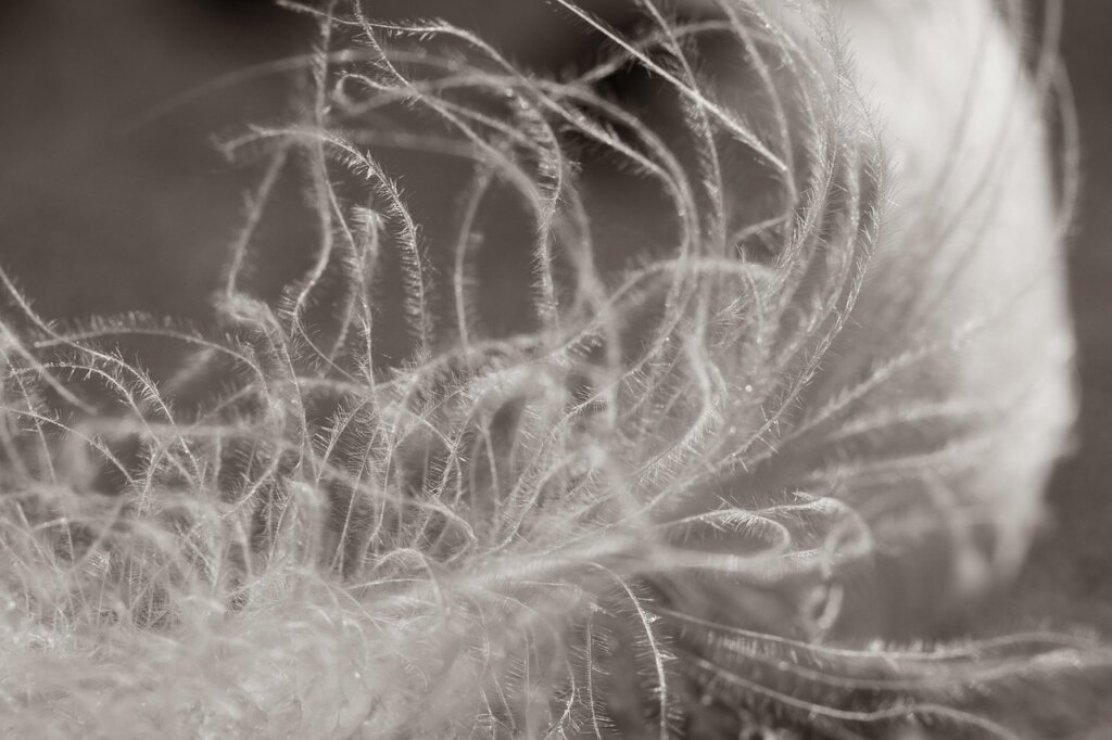 close-up of a KF94 mask filter layer showing fine mesh structure under soft light