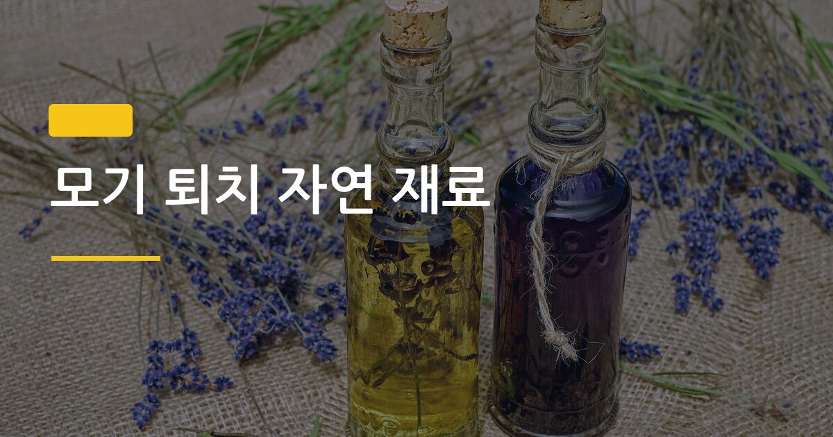 모기 퇴치 자연 재료, 집에서 직접 만들어 써봤더니 이런 결과가