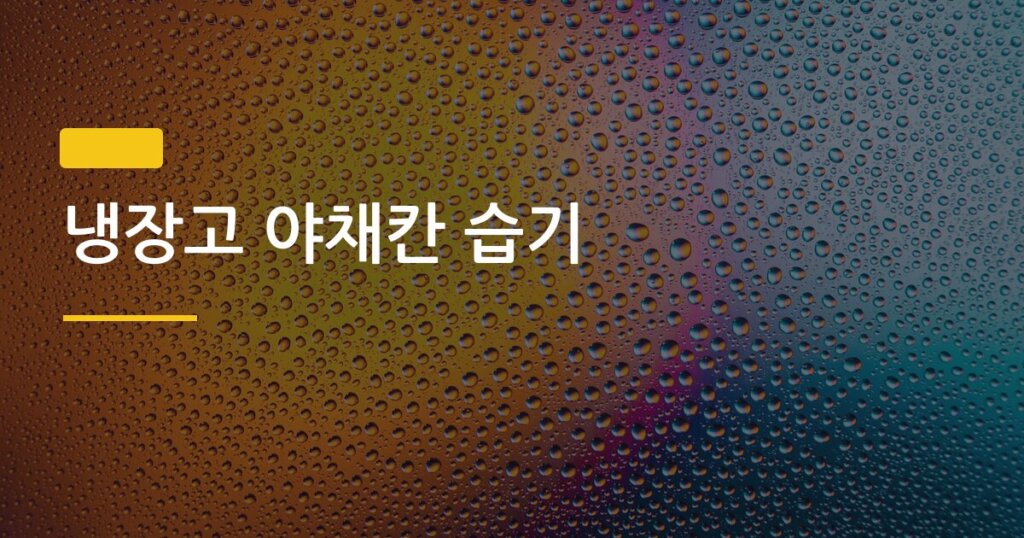 냉장고 야채칸 습기, 신문지 vs 키친타월 어떤 게 진짜 효과 좋을까