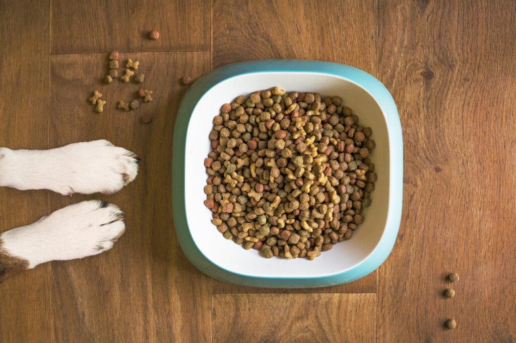 dog receiving treat after paw washing home training