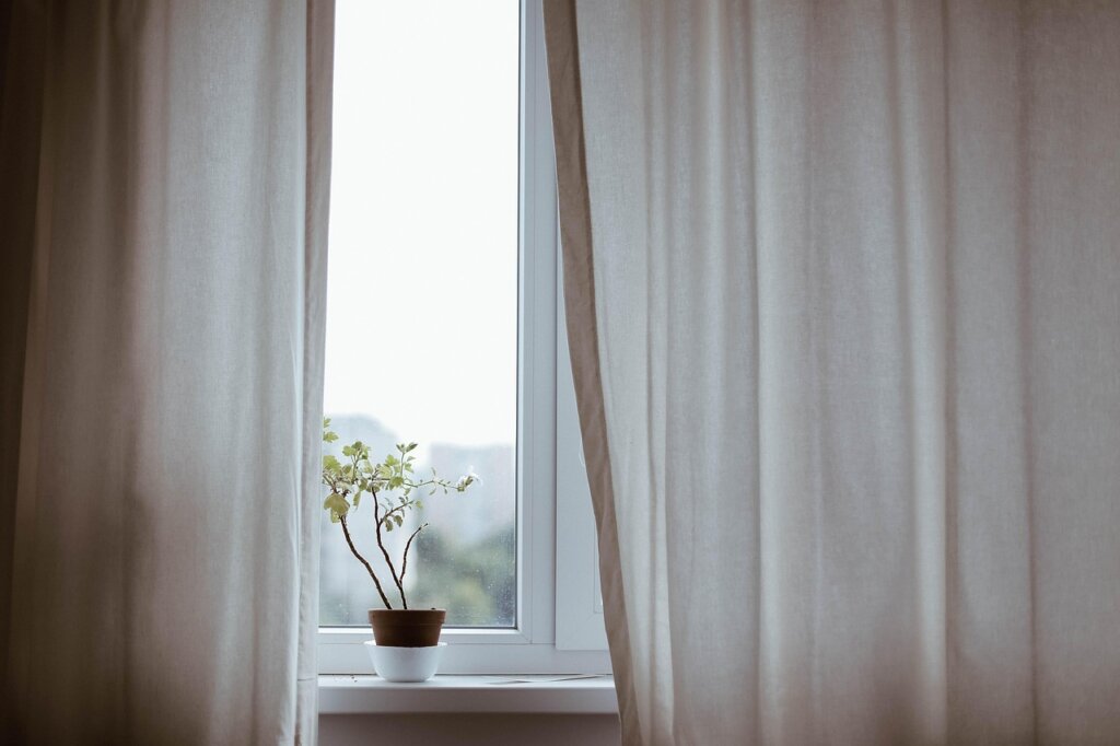 indoor plant near window winter sunlight low humidity